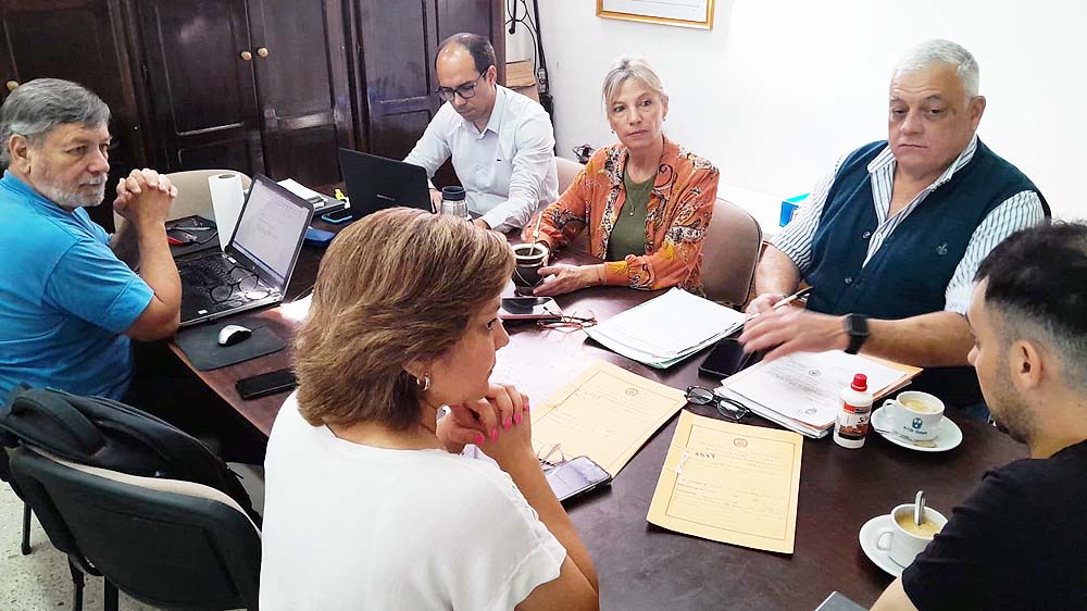 Comisión de Salud 2025