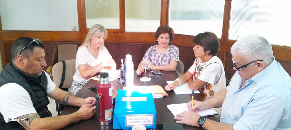 Comisión de Cultura 2025