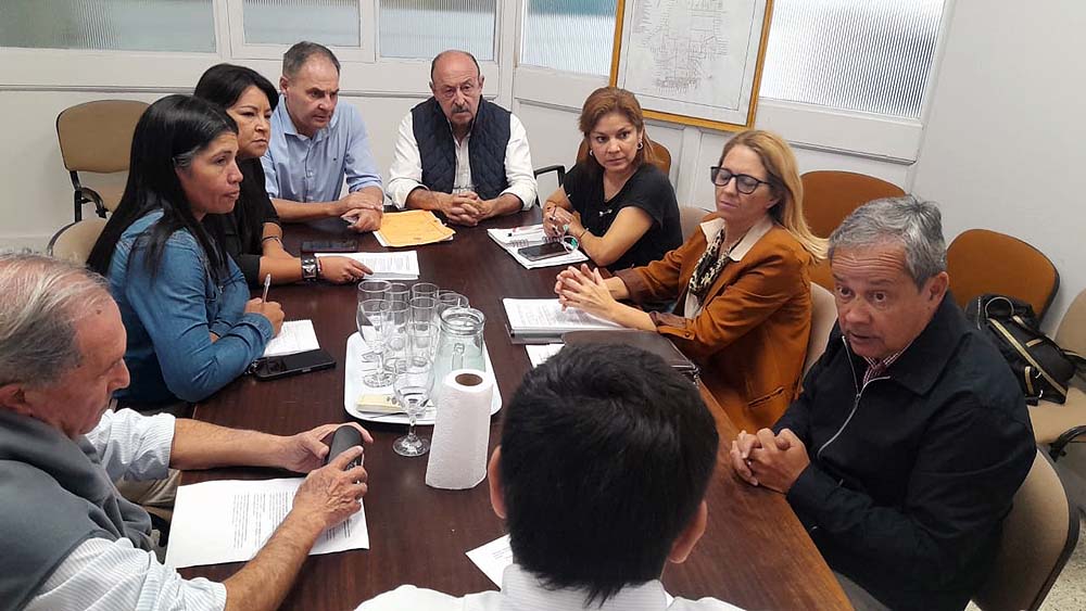 La Comisión de Transporte del HCD recibió a dirigentes empresariales y comerciales y a la Directora de Industria